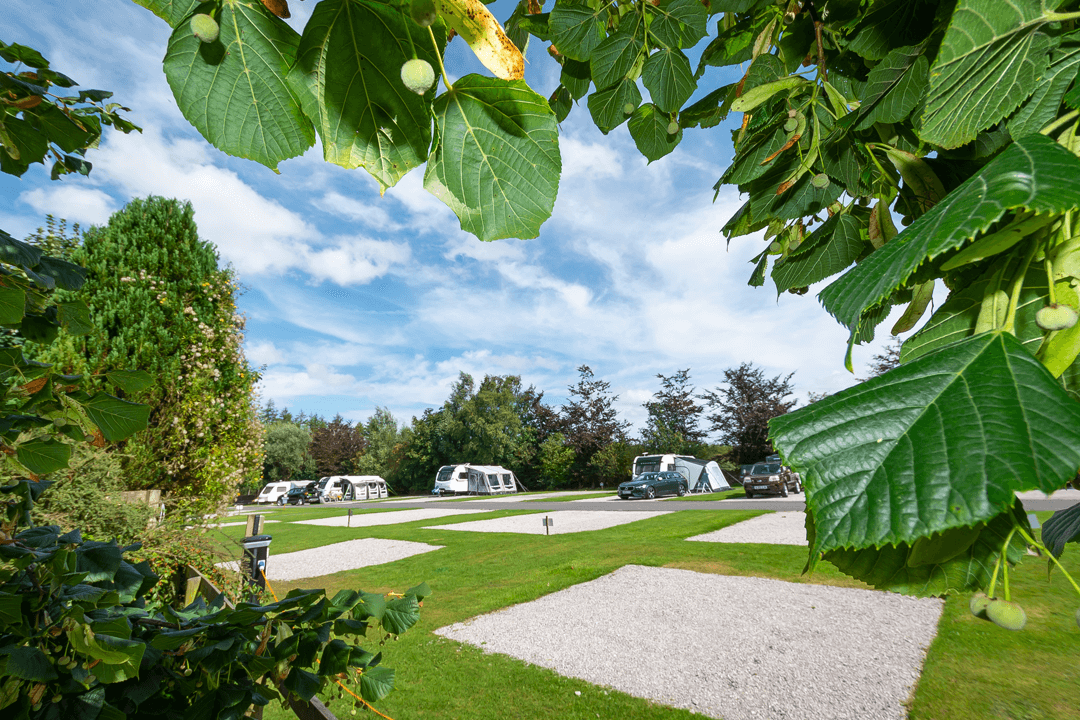 All Weather Trailer Tent Pitches